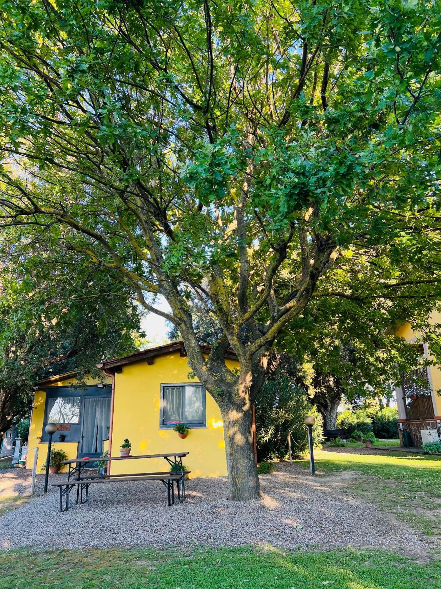 Il Melarancio Bed & Breakfast Pescia Romana Bagian luar foto
