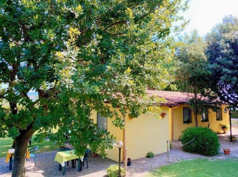 Il Melarancio Bed & Breakfast Pescia Romana Bagian luar foto